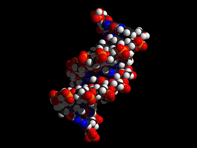 molekuly dna
