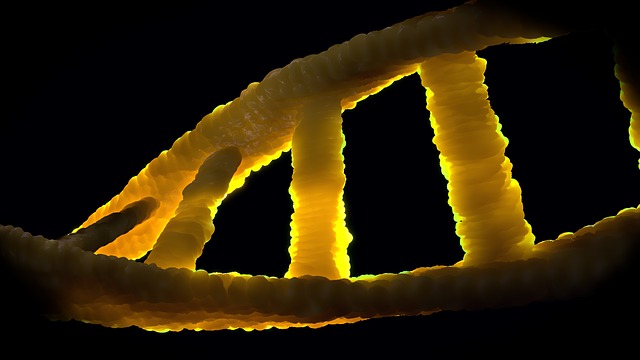 dvojšroubovice dna